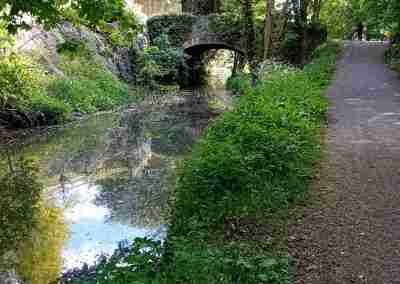 the canal and footpath in a shaded are of the Boyne river and the canal that runs beside it.