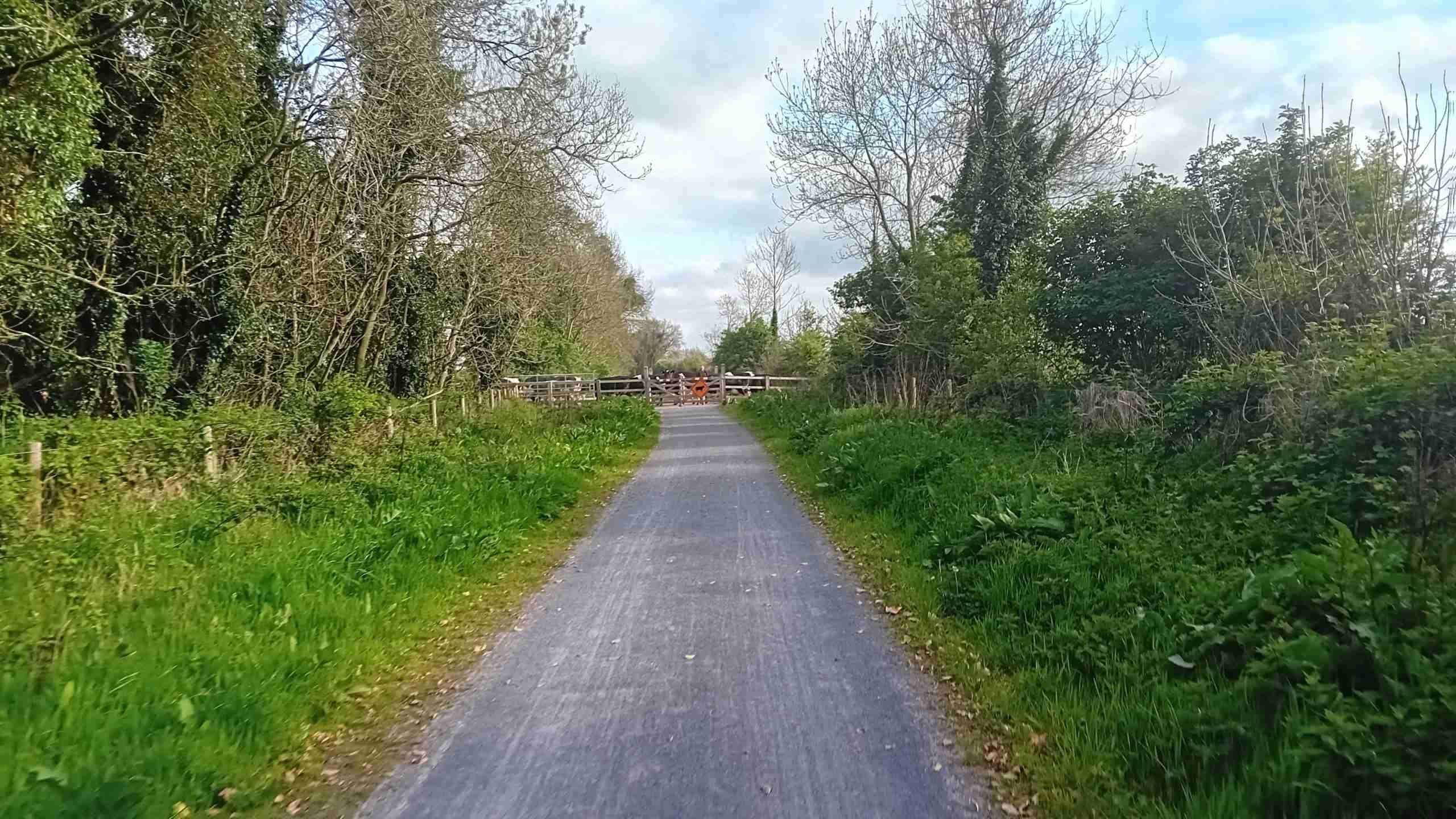 20250501_182916 Boyne Valley to Lakelands Greenway upgrades